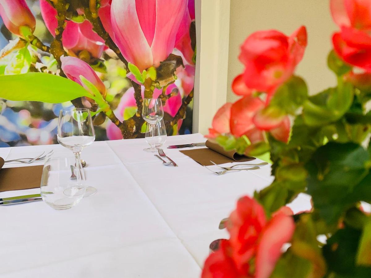 Zu Den Linden - Radebeul Pension Mit Restaurant Εξωτερικό φωτογραφία